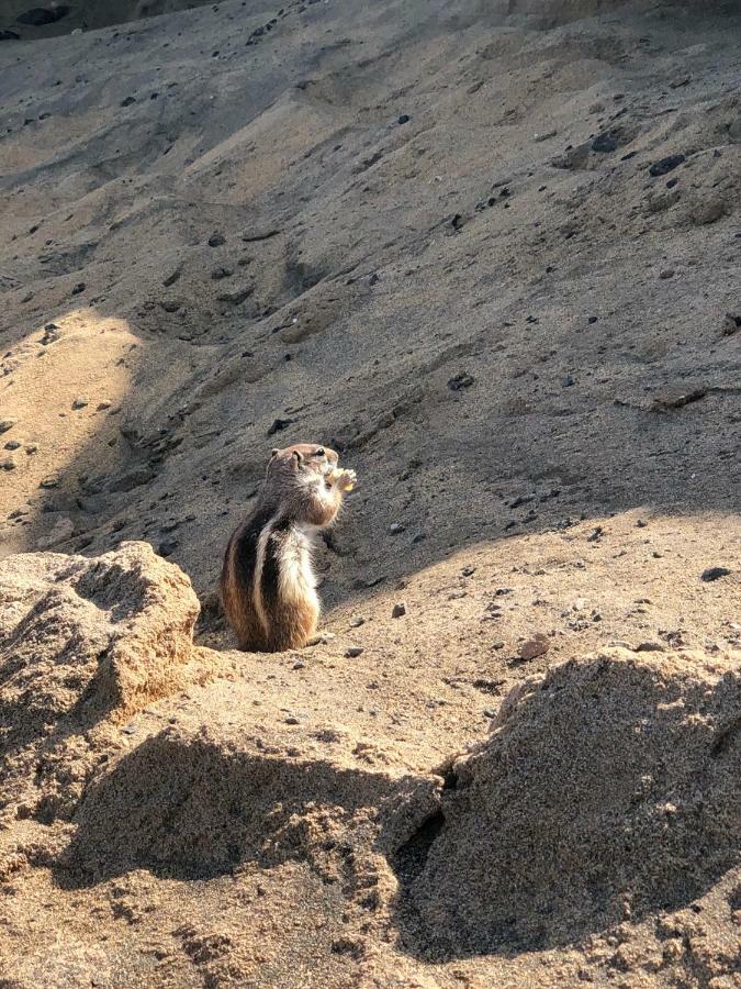 Fuerteventura Resort Bouganville คอสตา เด อันตีกัว ภายนอก รูปภาพ